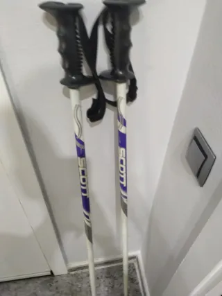 Palos de esquí Scott