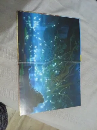 Raya y el último dragón. El libro de la película