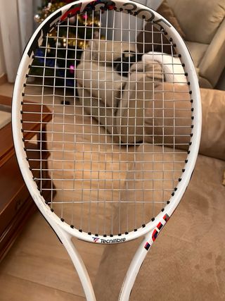 Raqueta Tenis Tecnifibre TF40 16x19 305g