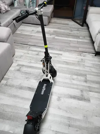 Patinete Eléctrico Bison GT