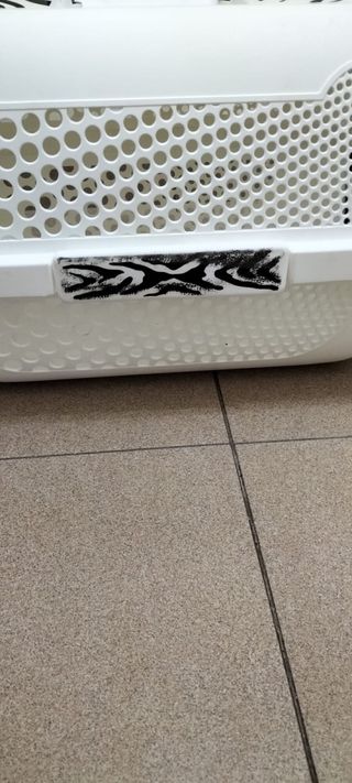 Transportín Catit Rígido