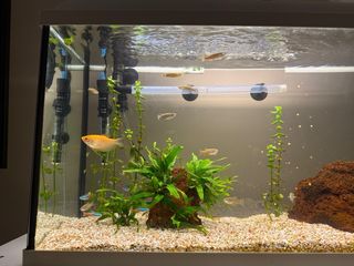 Pecera con mueble blanco