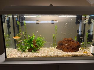 Pecera con mueble blanco