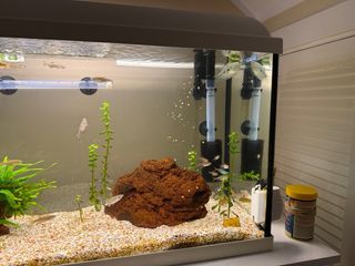 Pecera con mueble blanco