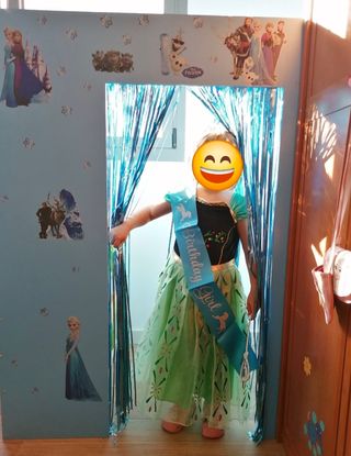 Castillo Frozen Artesanal