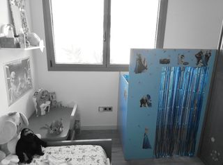 Castillo Frozen Artesanal