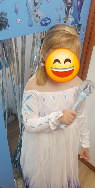 Castillo Frozen Artesanal