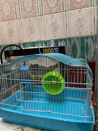 Jaula para hámster con accesorios