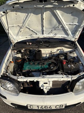 Nissan Micra Rallyes