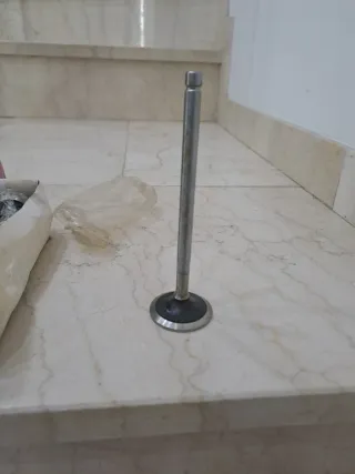 Válvulas Admisión Pegaso Monopole