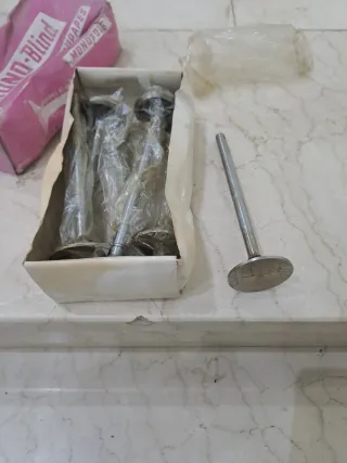 Válvulas Admisión Pegaso Monopole