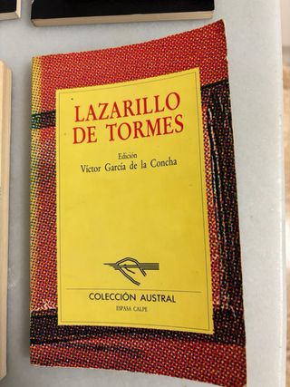 Libros de la literatura española