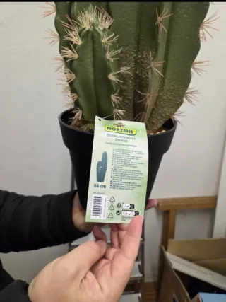 Planta Cactus Artificial Organo 64cm