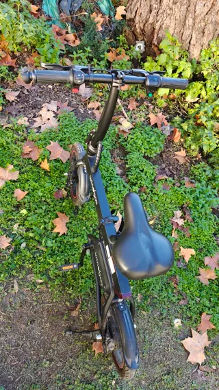 Bicicleta Eléctrica Windgoo B20