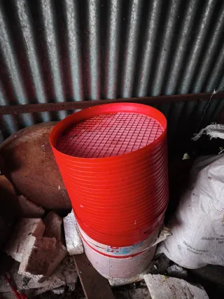 Plato para pollos iniciación