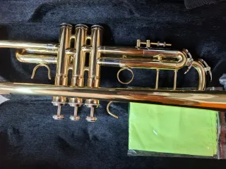 Trompeta en Sib con funda