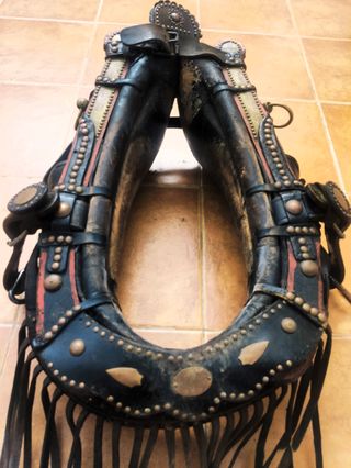 Collerón Valenciano para caballo