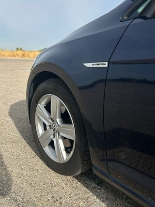 Volkswagen Golf 7  Variant Bluemotion 1.6 TDI2014