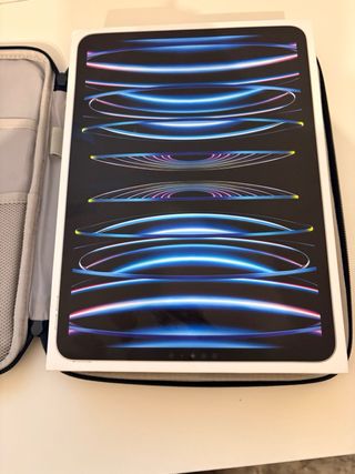 iPad Pro 11 M2 256GB Wi-Fi Argento