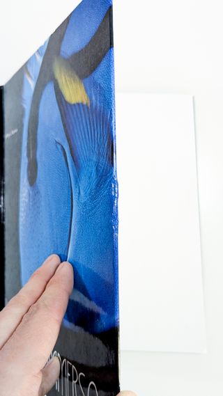 Viaggio nel pianeta sommerso