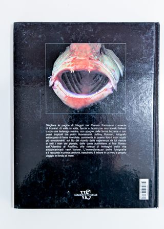 Viaggio nel pianeta sommerso