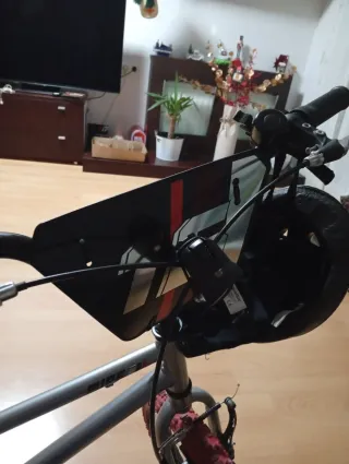 Bicicleta infantil con ruedines marca BMX