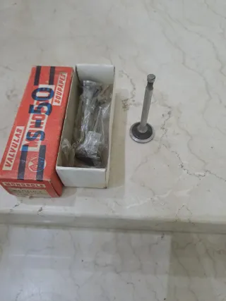 Válvulas Escape Renault Monopole G4