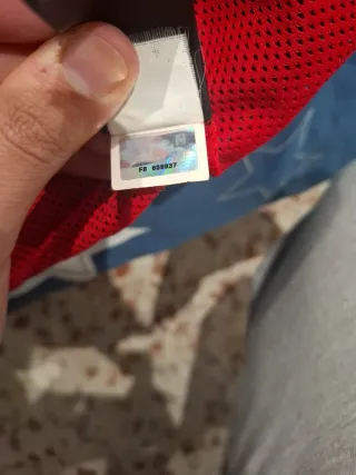 Chaqueta The North Face Roja