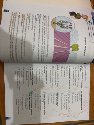 CLOE Entrenamiento de la competencia lingüística 2