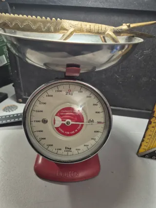 Figura cocodrilo bronce macizo antigua