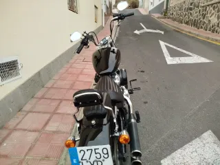 Harley Davidson Softail