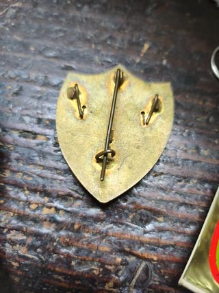 Insignia militar esmaltada con espadas cruzadas