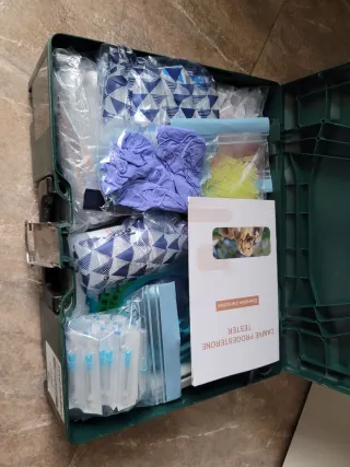 Kit progesterona canina