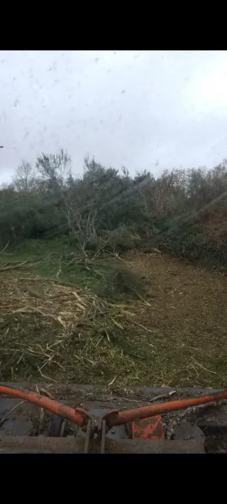 TRABAJOS AGRICOLAS Y FORESTALES