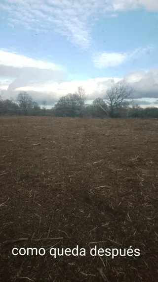TRABAJOS AGRICOLAS Y FORESTALES