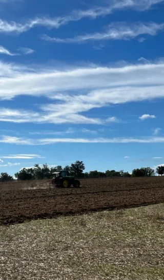 TRABAJOS AGRICOLAS Y FORESTALES