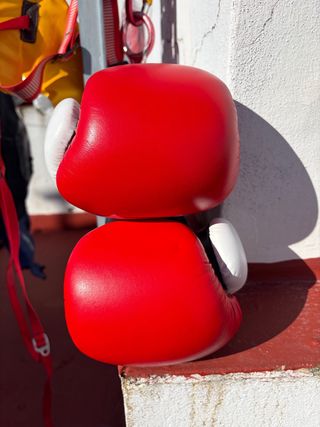 Guantes de Boxeo Bruiser 14 Oz con Vendas