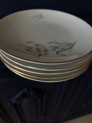 Set 5 Piatti Porcellana con Bordi Oro