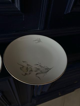 Set 5 Piatti Porcellana con Bordi Oro