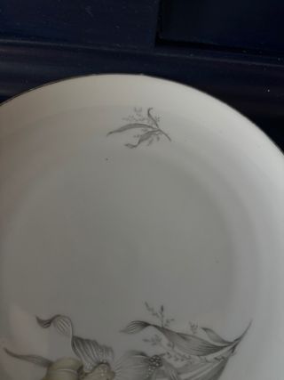 Set 5 Piatti Porcellana con Bordi Oro