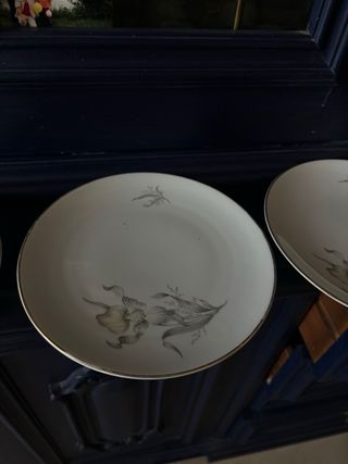 Set 5 Piatti Porcellana con Bordi Oro