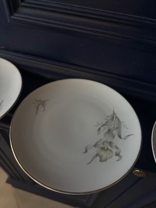 Set 5 Piatti Porcellana con Bordi Oro