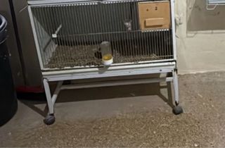 Carro para jaulas 80