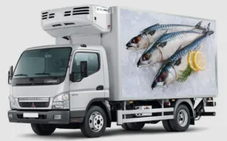 Transporte camión seco y congelados económico