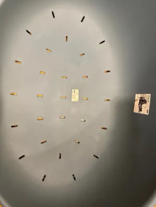 Cama para perros Savic XL