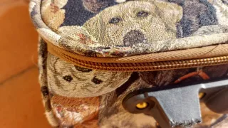 3 Maletas con estampado de perros