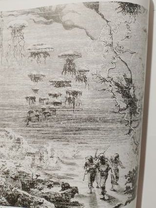 FANTASIA Y CIENCIA FICCION, N 237