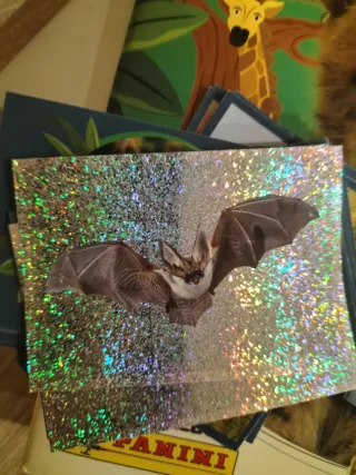 Colección Cromos Mundo Animal Los Records