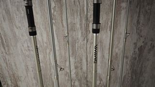 Pareja Cañas Daiwa Crosscast Surfcasting