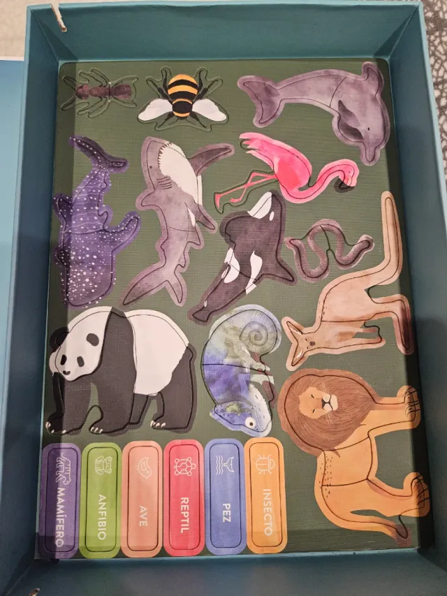 Juguettos Aprendo Sobre La Fauna